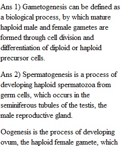 HW 11- Gametogenesis